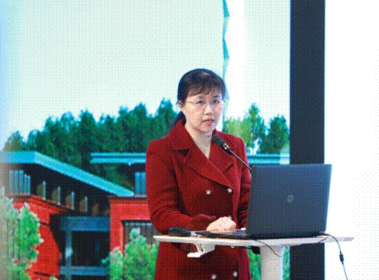 图片7